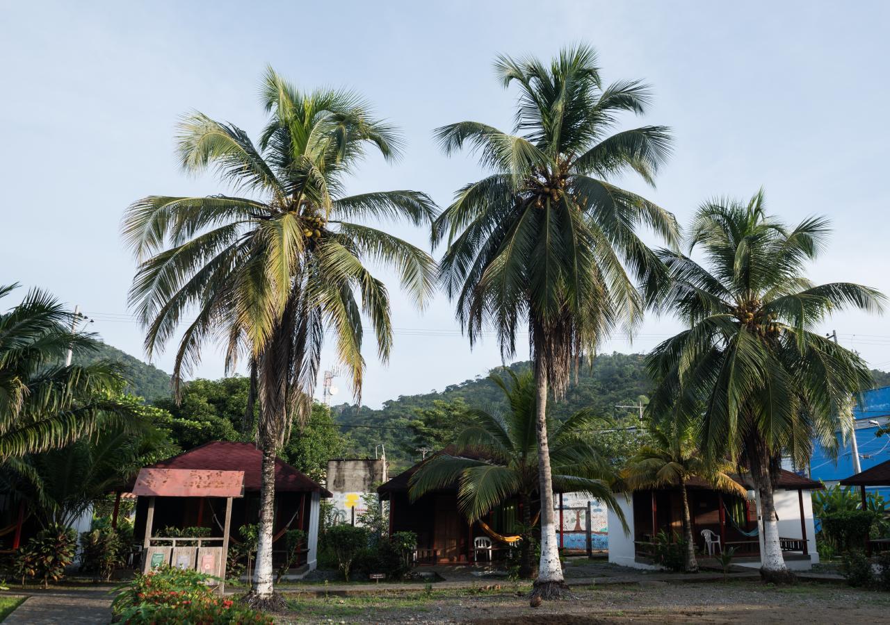 Tacarcuna Lodge Capurganá المظهر الخارجي الصورة
