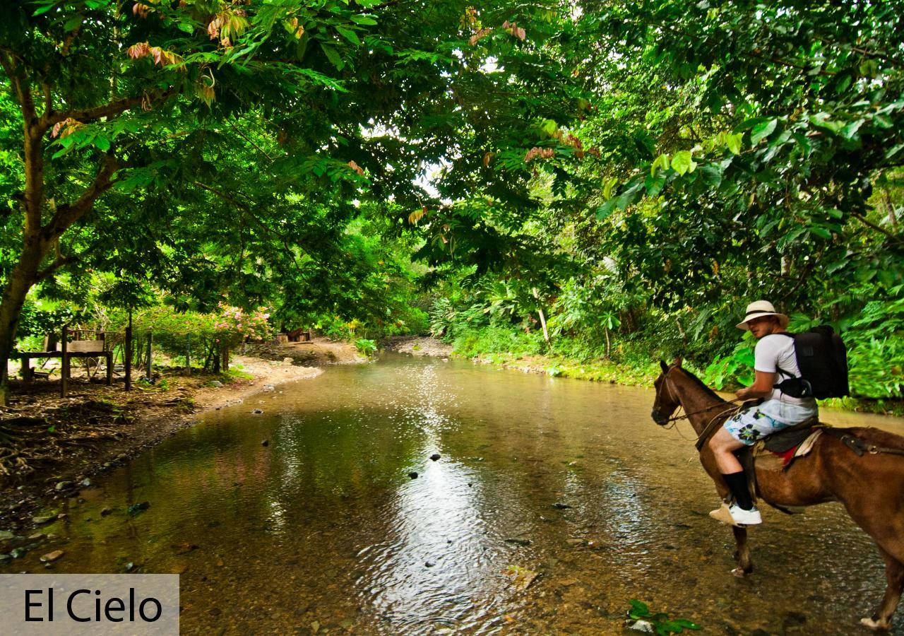 Tacarcuna Lodge Capurganá المظهر الخارجي الصورة
