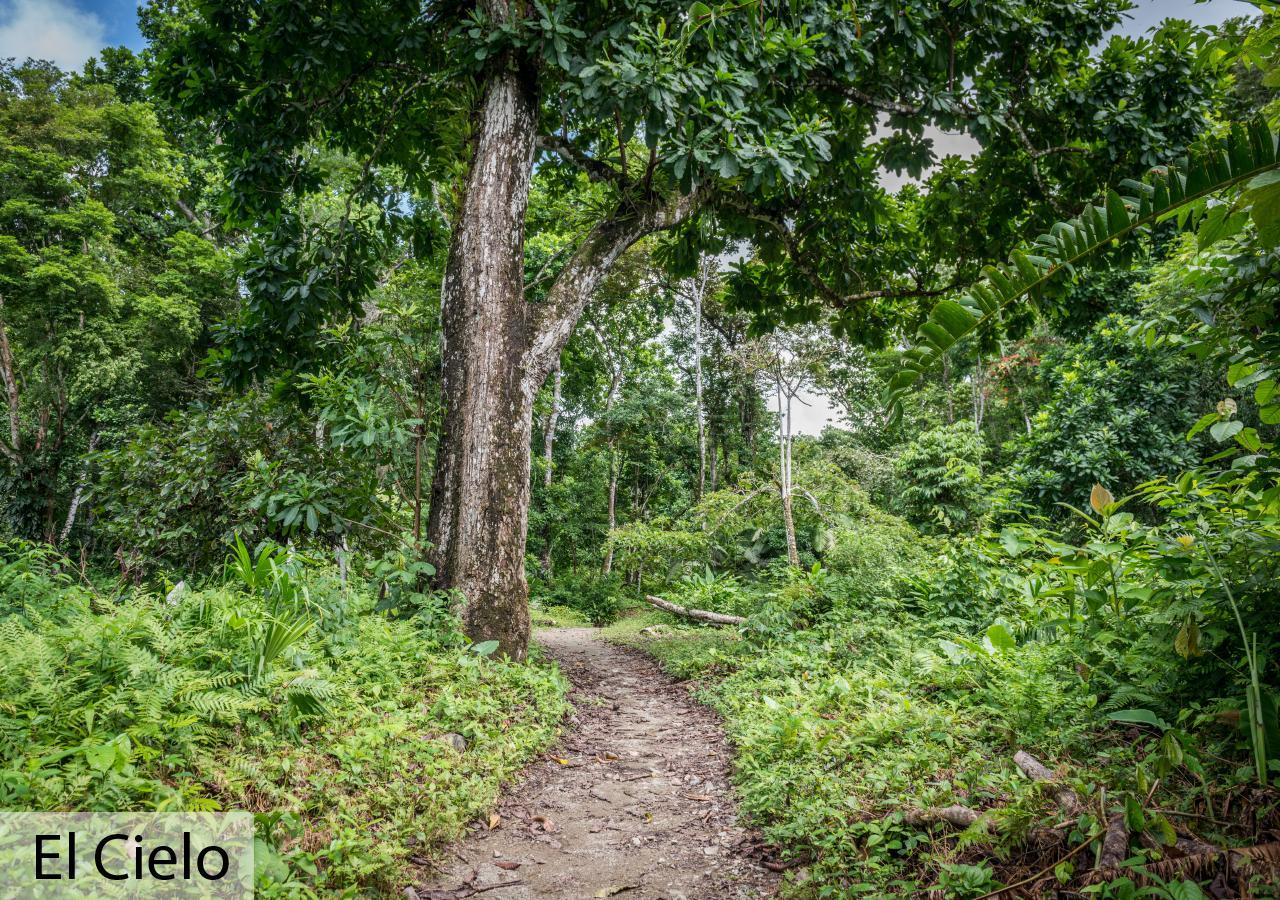 Tacarcuna Lodge Capurganá المظهر الخارجي الصورة